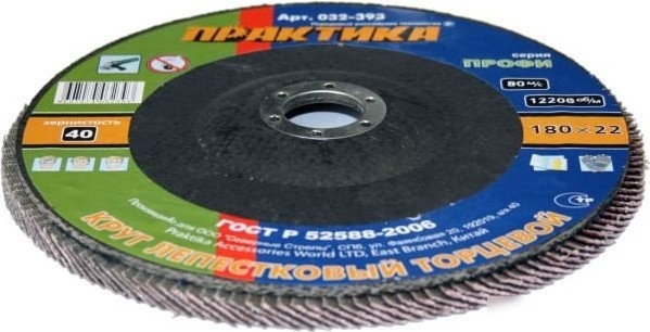 Шлифовальный круг Практика Профи 032-393
