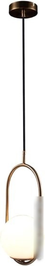 Подвесная люстра LOFT IT Glob LOFT2595-A