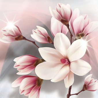 Фотообои Vimala Розовая магнолия 270x300