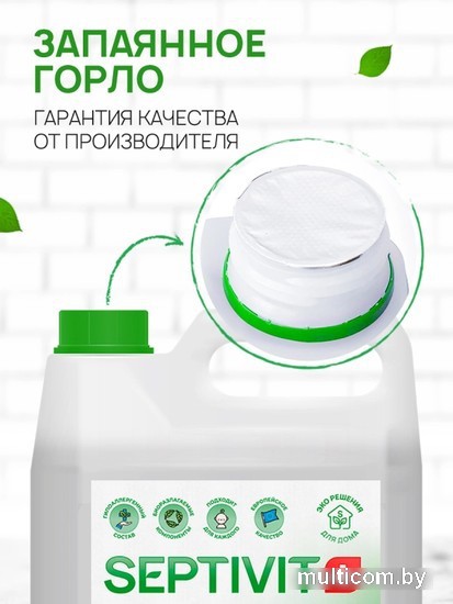 Средство для мытья посуды Septivit Альпийская Мята (5 л)