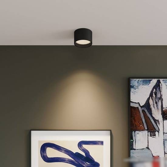 Точечный светильник Elektrostandard Banti 13W 25123 LED (черный)