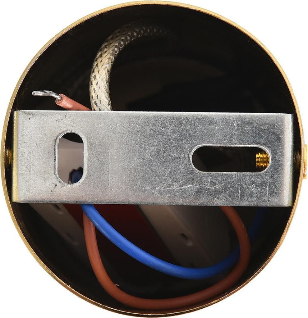 Подвесная люстра Lumion Taisha 8324/20L
