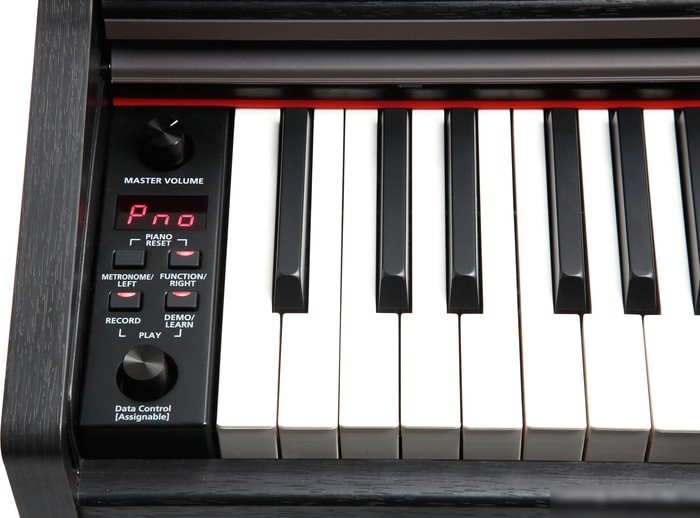 Цифровое пианино Kurzweil M90 (черный палисандр)
