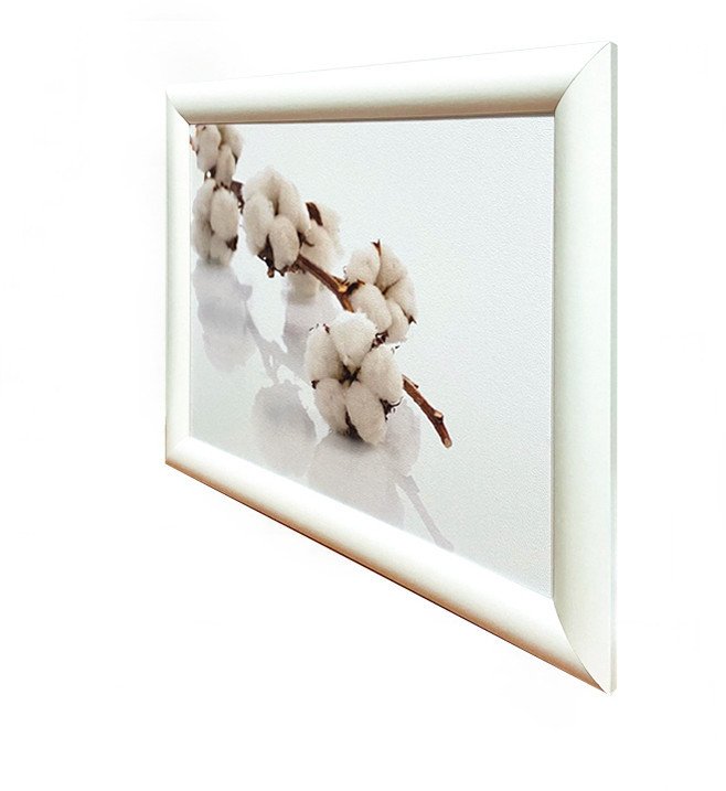 Картина Декарт 8Л3044