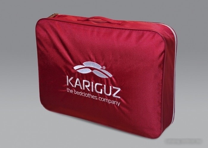 Спальная подушка Kariguz Тенселесон ТС10-5 (68x68 см)