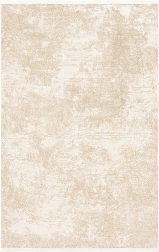 Ковер для жилой комнаты Radjab Carpet Лайла Прямоугольник PT62T (1.6x3, Light Beige)
