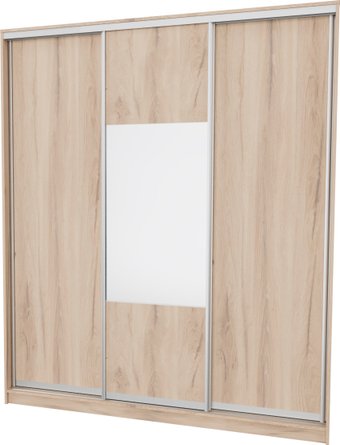 Шкаф-купе Рэйгрупп 176450 EEX Elgon РГ-03.05 (дуб элисон/дуб элисон/хром)