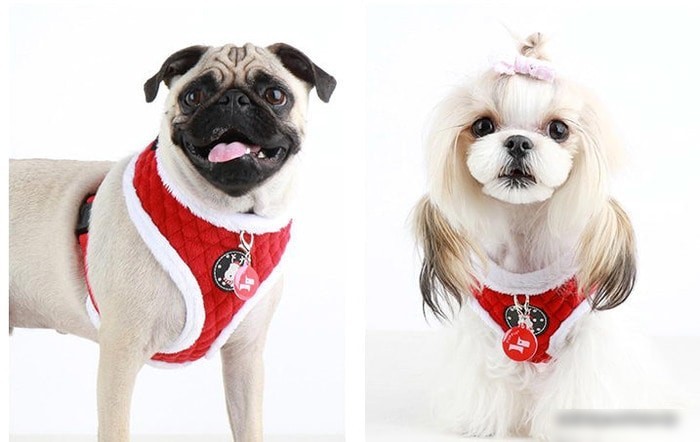 Шлейка Puppia Blitzen-A PAQD-AC1470-RD-L (красный)