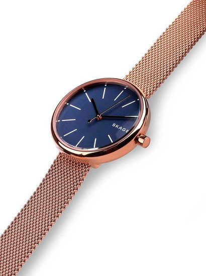 Наручные часы Skagen SKW2593
