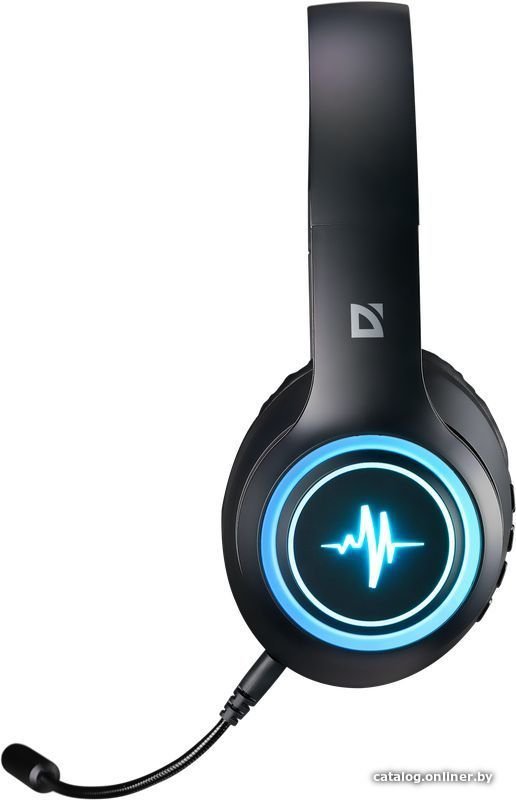 Наушники Defender FreeMotion B571 (со съемным микрофоном)