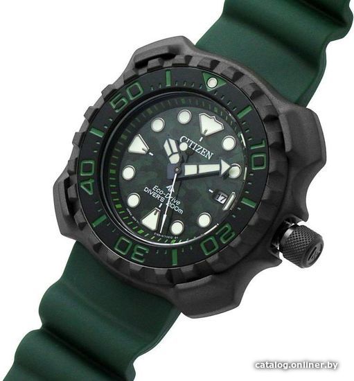Наручные часы Citizen Promaster BN0228-06W