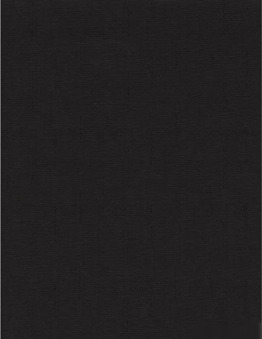 Мини рулонные шторы Delfa Сантайм Лен СРШ-01 МЭД2681 (43x160, черный)