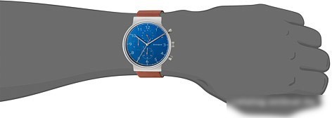 Наручные часы Skagen SKW6358