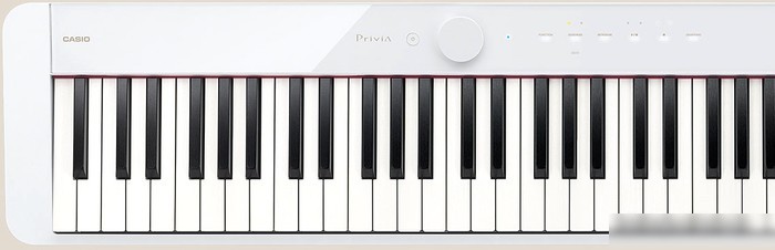 Цифровое пианино Casio PX-S1100 (белый)