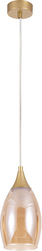 Светильник Arte Lamp Barry A7951SP-1GO