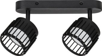 Спот Arte Lamp Atria A8031PL-2BK
