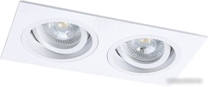 Точечный светильник Arte Lamp Tarf A2178PL-2WH