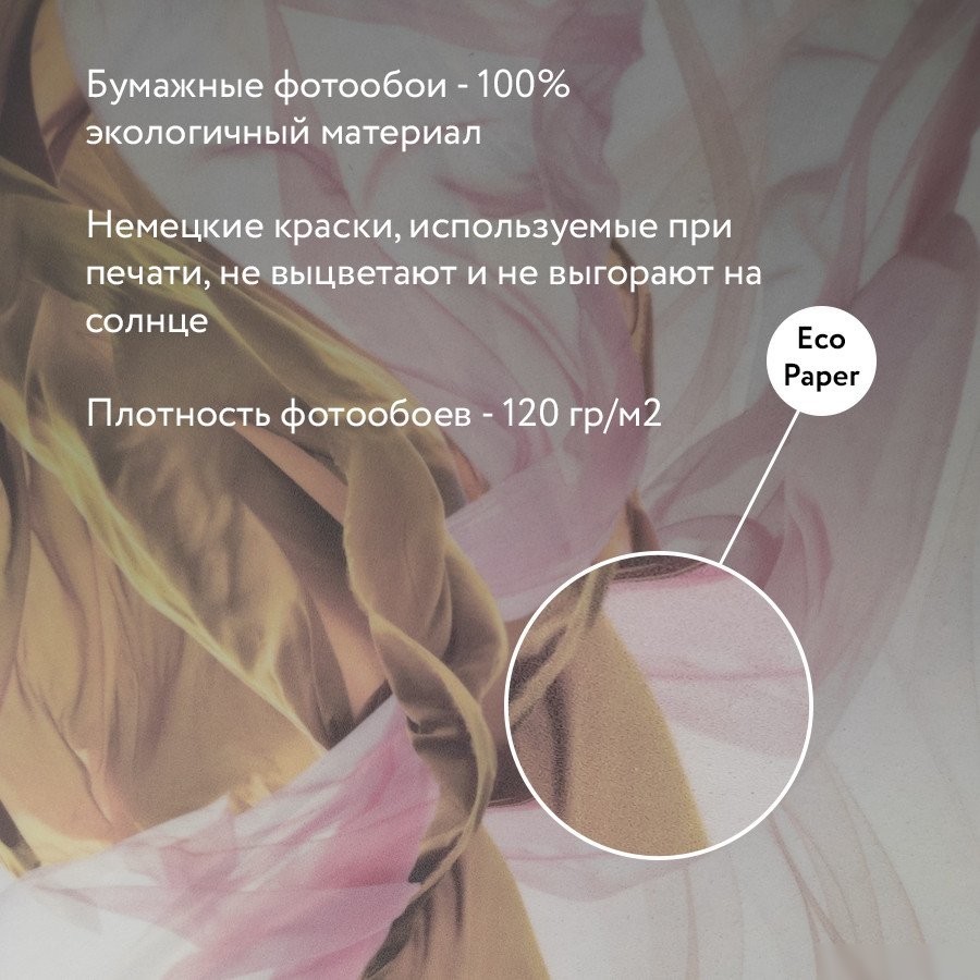 Фотообои Citydecor Пальмовые листья 312x265 светло-серые