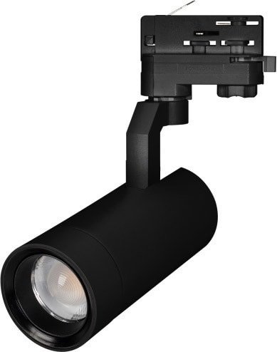 Трековый светильник Arlight LGD-GELIOS-4TR-R67-20W Day4000 031218