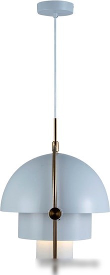 Подвесная люстра LOFT IT Multi-Lite LOFT9915-WH