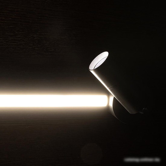 Спот Arte Lamp A2219PL-2BK
