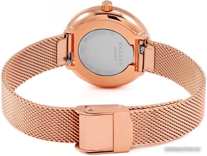 Наручные часы Skagen SKW2593