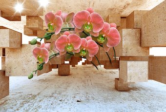 Фотообои Vimala Орхидеи и кубы 270x400