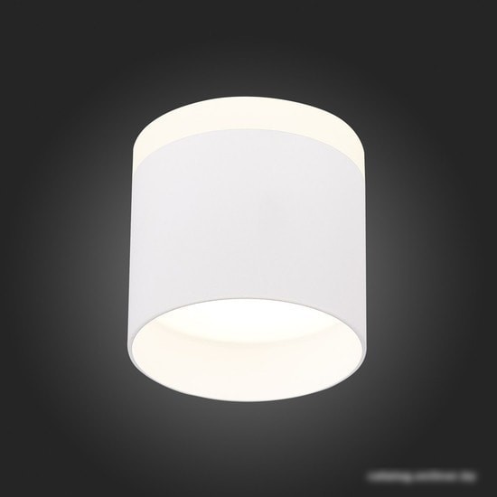 Точечный светильник ST Luce Panaggio ST102.542.12