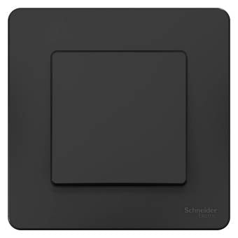 Выключатель Schneider Electric BLNVS010606
