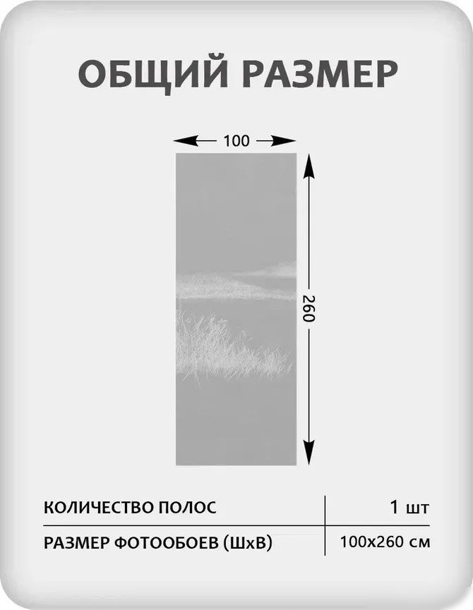 Фотообои Mio Tesoro Невесомость 61 (100x260)