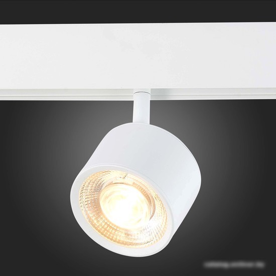 Светильник ST Luce Vedo ST353.536.06