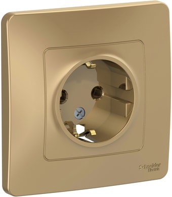 Розетка Schneider Electric BLNRS001014