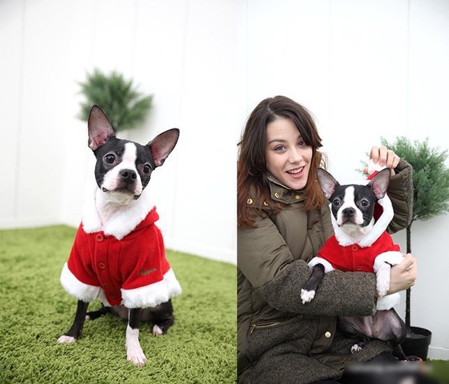 Куртка для животных Puppia Santa PDDF-SC23-RD-L (красный)