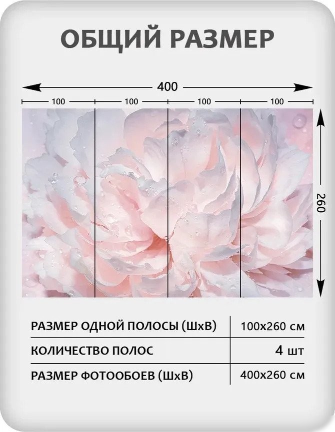 Фотообои Mio Tesoro Цветы и Растения 40 (400x260)