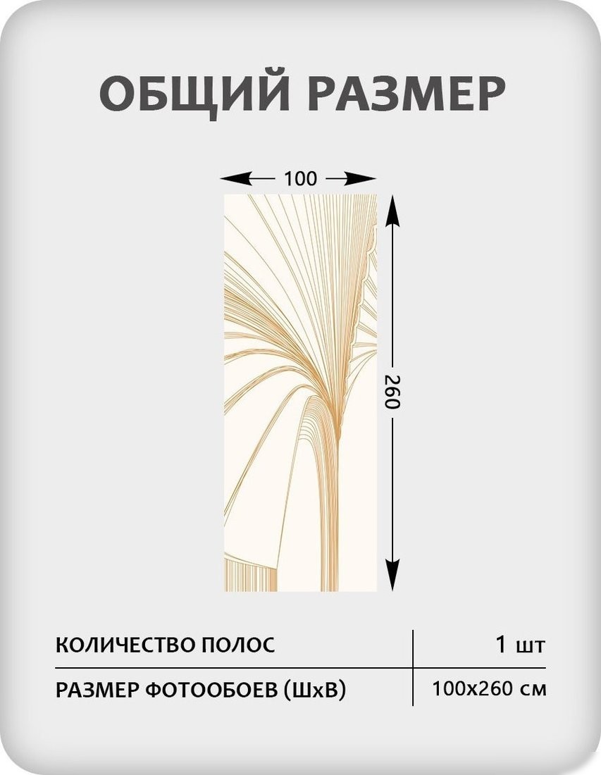 Фотообои Citydecor Perfect Lines 23 (100x260см)