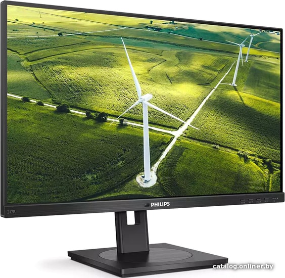 Монитор Philips 242B1G/00