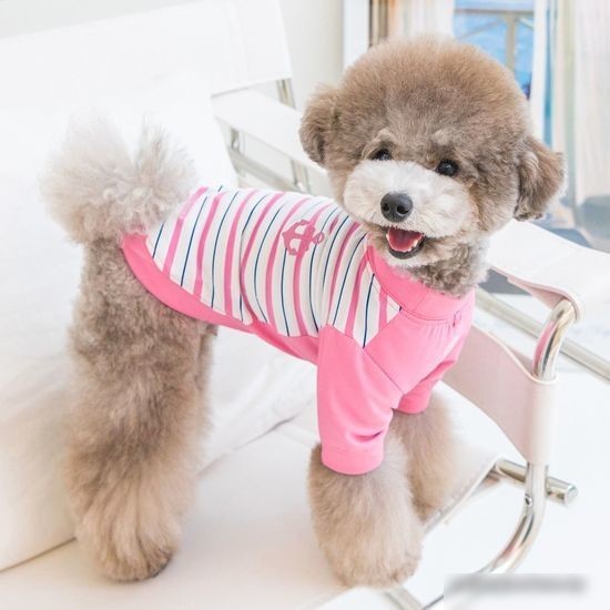 Свитер для животных Puppia Marino PAWA-TS1942-PK-S (розовый)