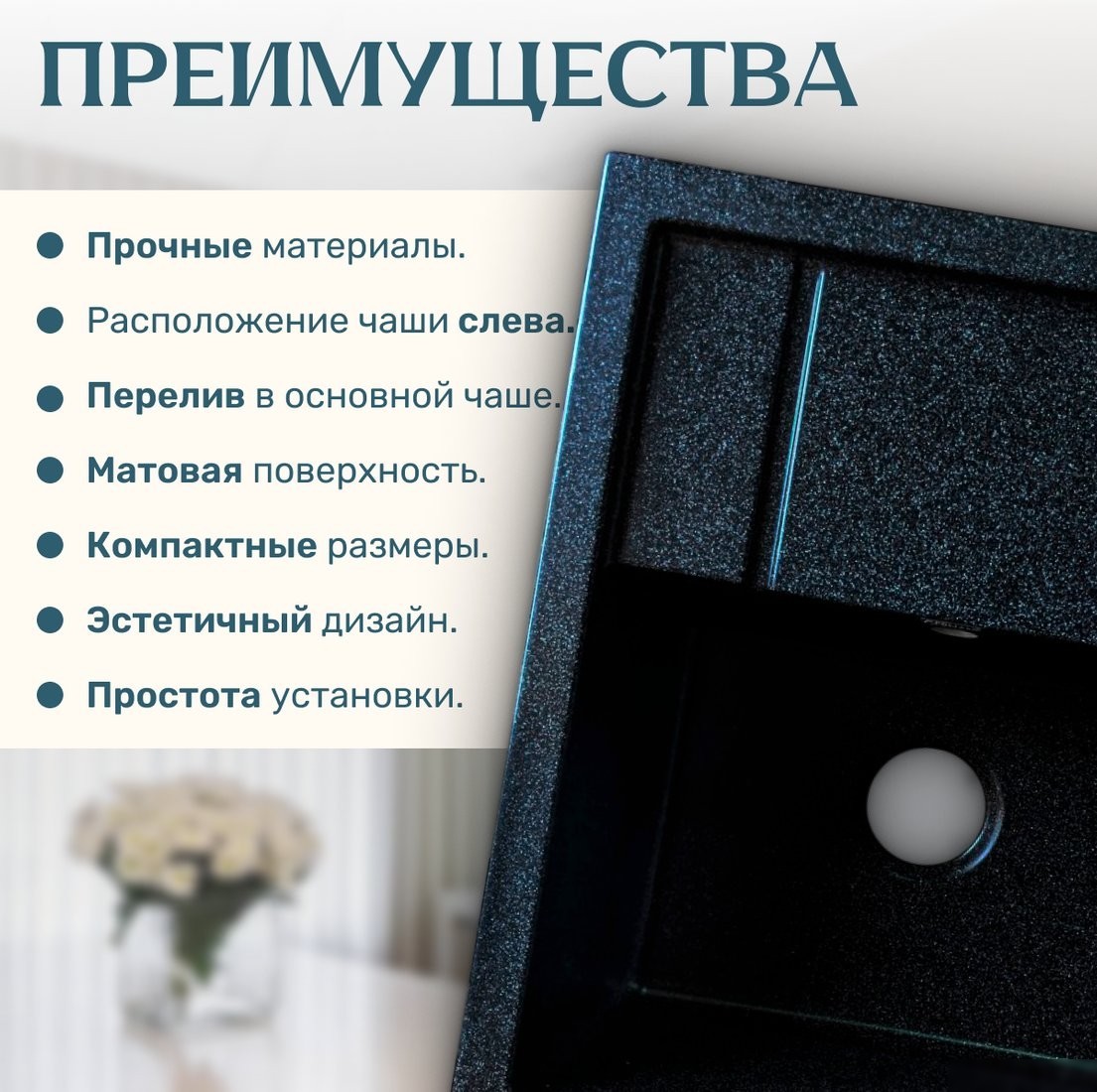 Кухонная мойка Saniteco Fortis (черный)