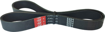 Ремень Белмаш Optibelt 8PJ813