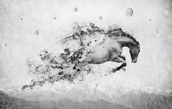 Фотообои Vimala 3D Небесный скакун 270x400