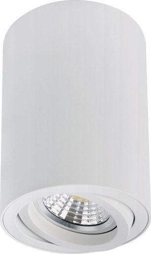 Точечный светильник Arte Lamp Sentry A1566PL-1WH