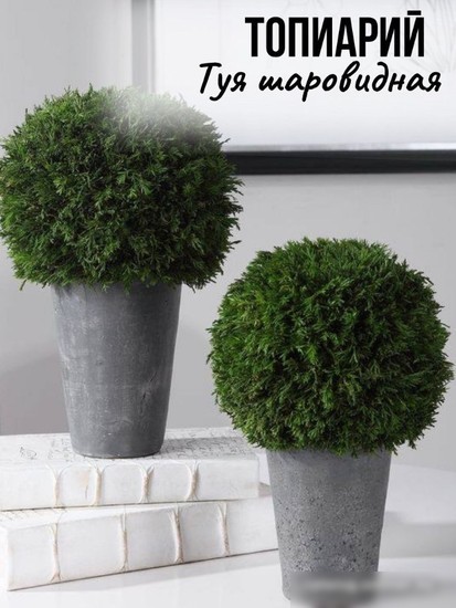 Искусственное растение Merry Bear Home Decor Туя шаровидная KDA0255