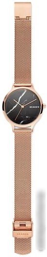 Наручные часы Skagen SKW2721