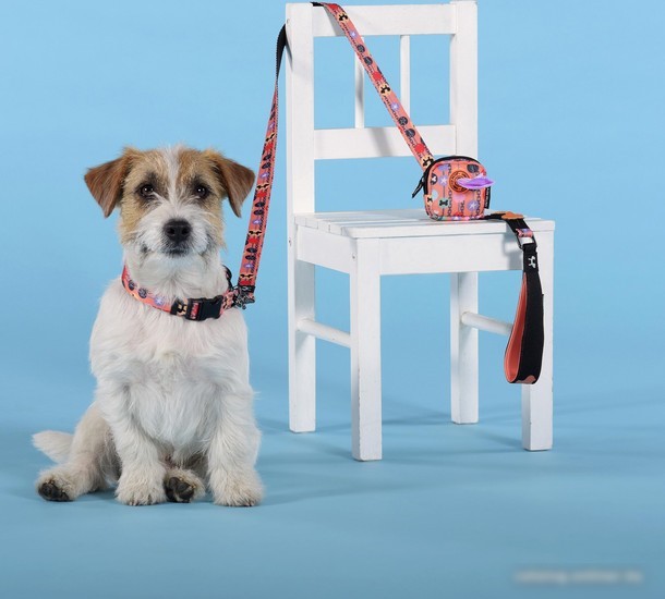 Ошейник United Pets Complete Me Forever Collar (M)