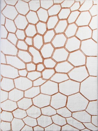 Ковер для жилой комнаты Pixel Rabbit Carving PX4003-STAN-CREAM-TERRA (2x2.9)