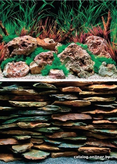 Фон Barbus двухсторонний каменная стена/дикая вода 30 см х 62 см Фон Barbus двухсторонний каменная стена/дикая вода 30 см х 62 см