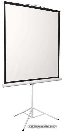 Проекционный экран Digis Kontur-D 248x250 DSKD-1108