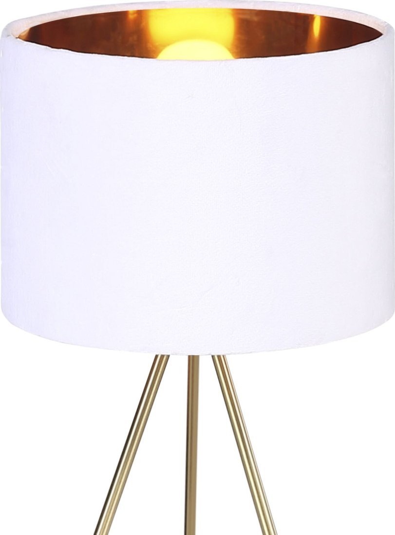 Настольная лампа ST Luce SL6242.504.01