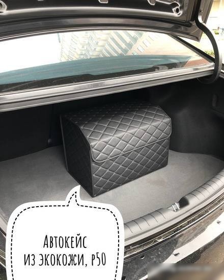 Органайзер автомобильный Alicosta P50 (экокожа, черный)