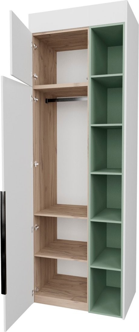 Шкаф распашной Рэйгрупп Рэй S257-B1-EBZ В1 (дуб элисон/белый премиум/зеленый самшит)
